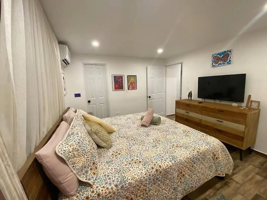 Castillo Del Parque Stylish 2Bed Calle Loiza Apartment San Juan 0*,