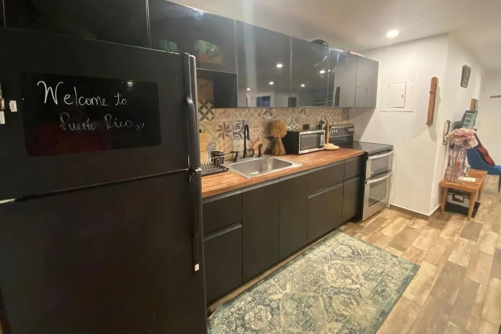 Castillo Del Parque Stylish 2Bed Calle Loiza Apartment San Juan Puerto Rico
