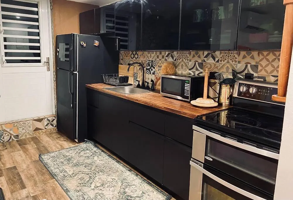 Castillo Del Parque Stylish 2Bed Calle Loiza Apartment San Juan
